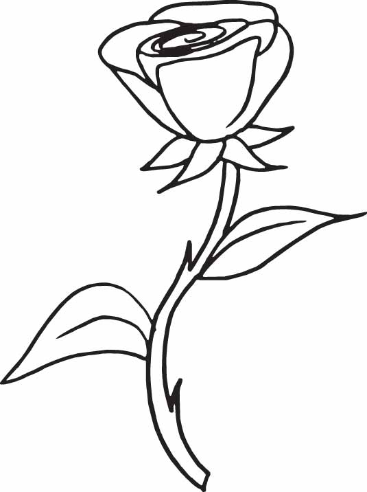 Rose Vines Drawings ClipArt Best special Coloring Pages Draw A ...
