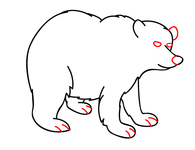 How To Draw A Bear Face - ClipArt Best