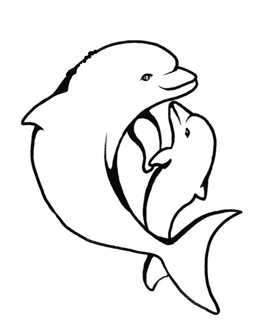 524 views Coloring, Coloring pages and Dolphins