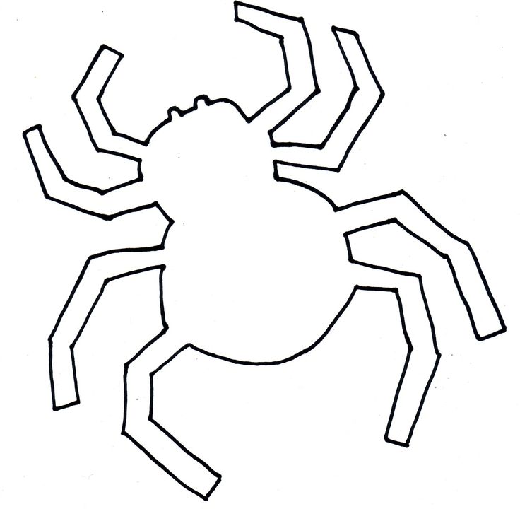 cartoon-spider-template-clipart-best
