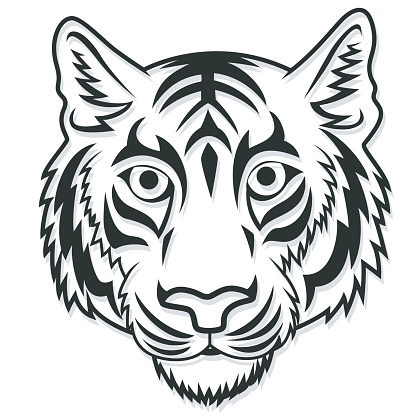 Cartoon Of A Tiger Tattoo Outline Clip Art, Vector Images ...
