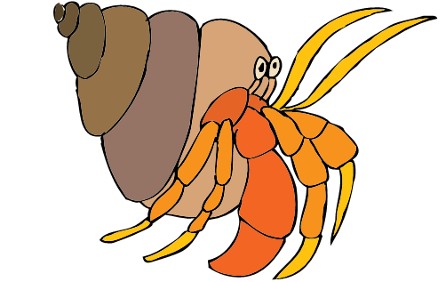 35+ Hermit Crab Shell Clipart
