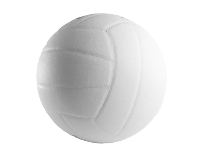 volleyball ball - photo/picture definition at Photo Dictionary ...