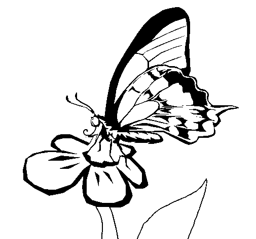 Coloring page Butterfly on flower to color online - Coloringcrew