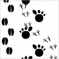 Footprint Free vector for free download (about 21 files).