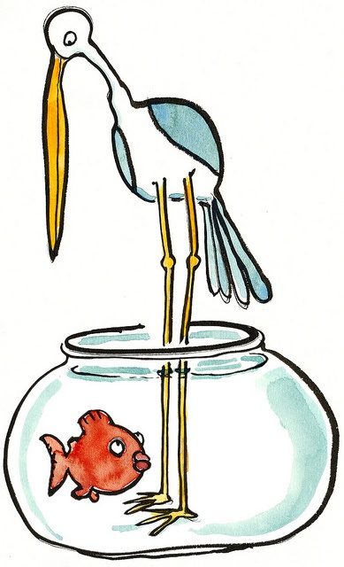 1000+ images about Fish Bowl-Illustrations ...