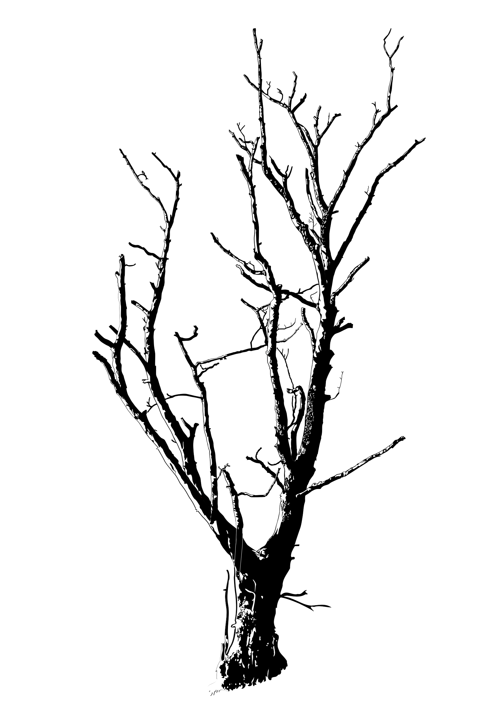 Clipart - Dead Tree Detailed
