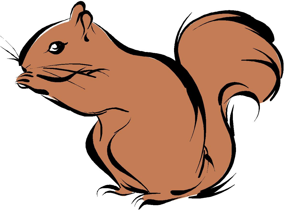 499 views Squirrel Black And White Clipart