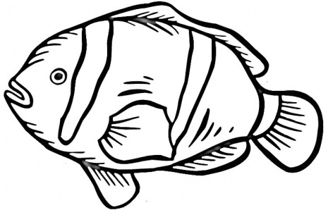 Clownfish coloring page | Super Coloring