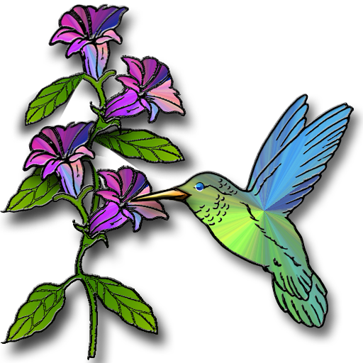 A Summer of Hummingbirds | IconDoIt