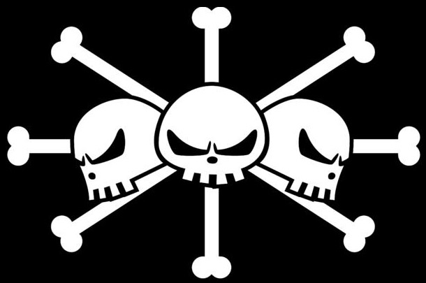 Blackbeard Pirates - The One Piece Wiki - Manga, Anime, Pirates ...