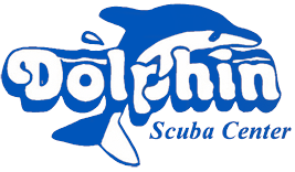 Dolphin Swim School