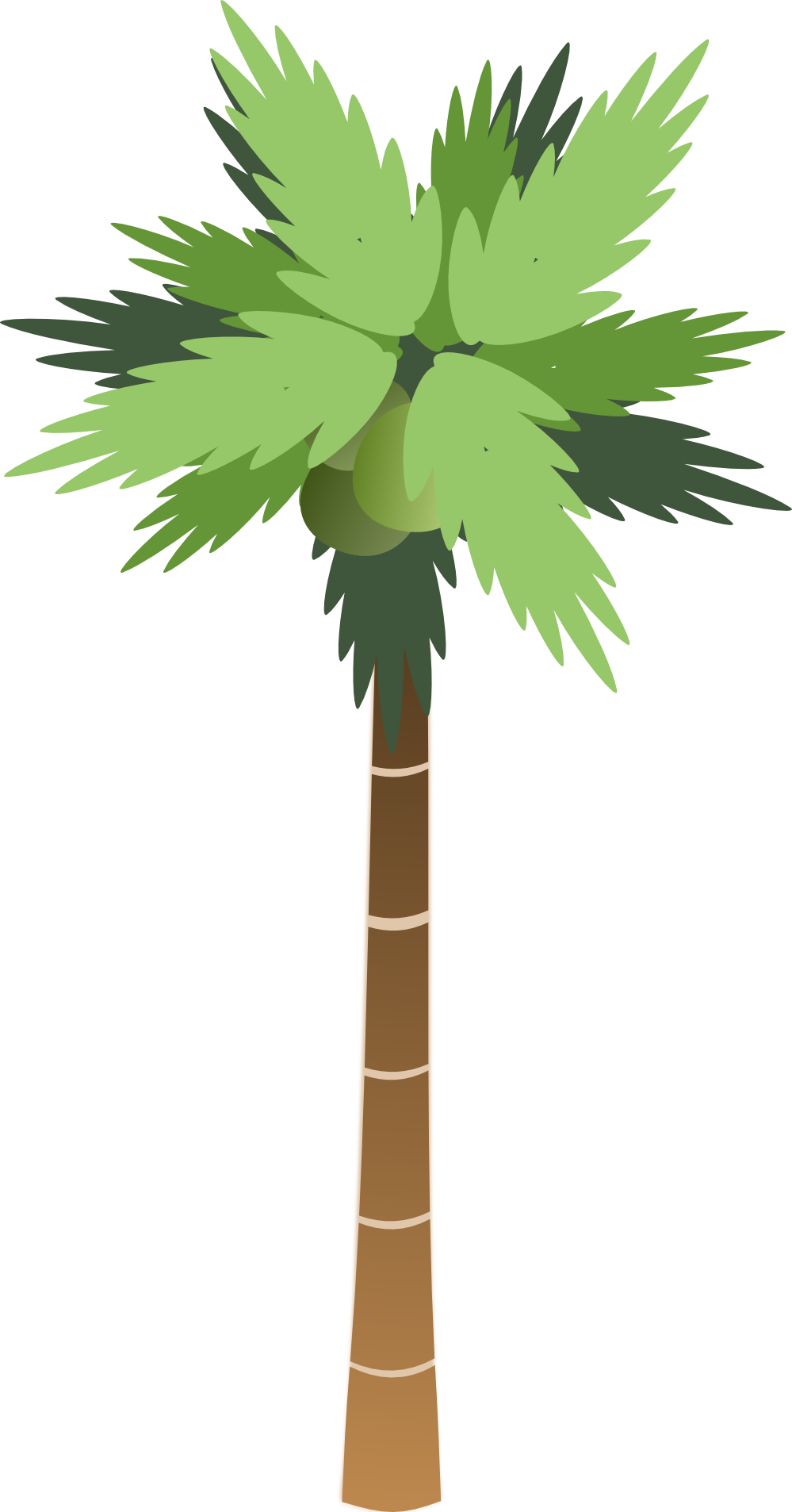 Palm Tree Line Drawing