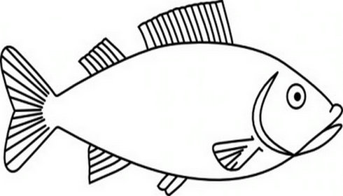 Fish Drawing Outline