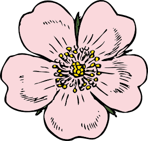 Wild Rose clip art - vector clip art online, royalty free & public ...