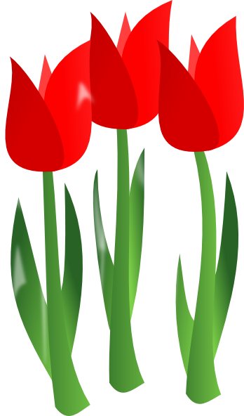 Red Tulips Clip Art - vector clip art online, royalty ...