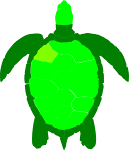 Green Sea Turtle clip art - vector clip art online, royalty free ...