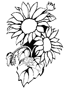 Biology Coloring Pages & Worksheets | ASU - Ask A Biologist - ClipArt