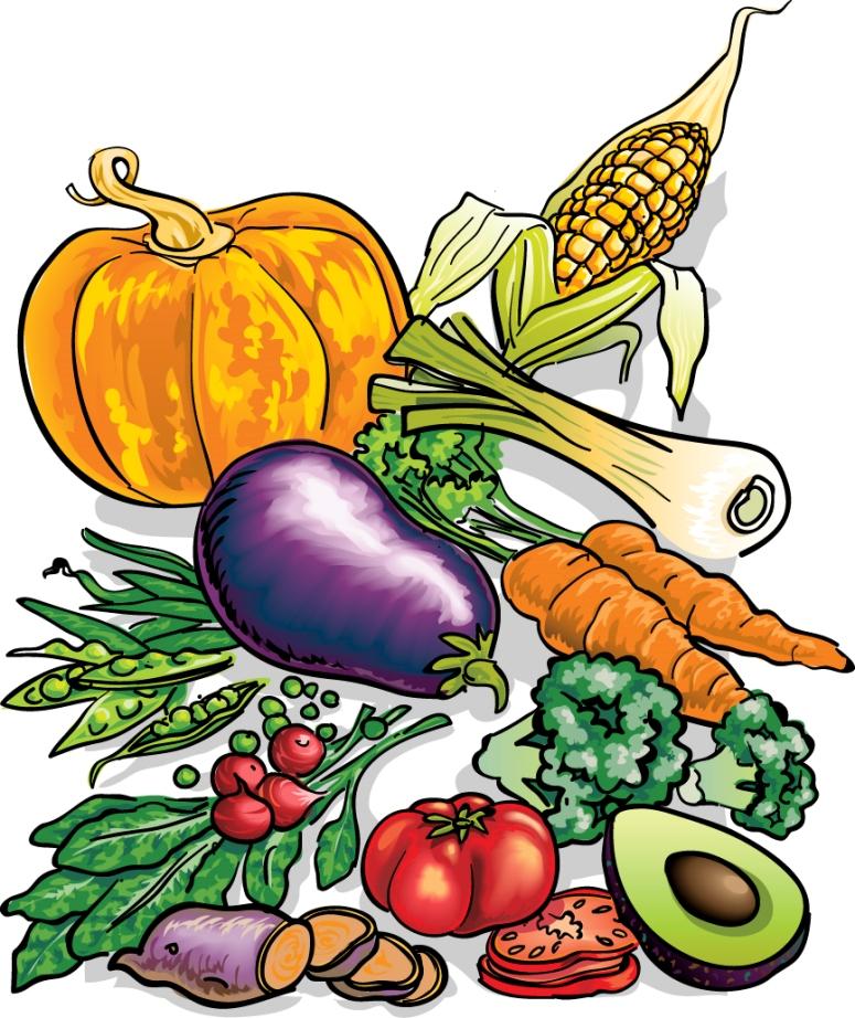 clipart garden vegetables - photo #38