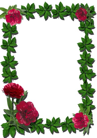 Png flower frames for photoshop