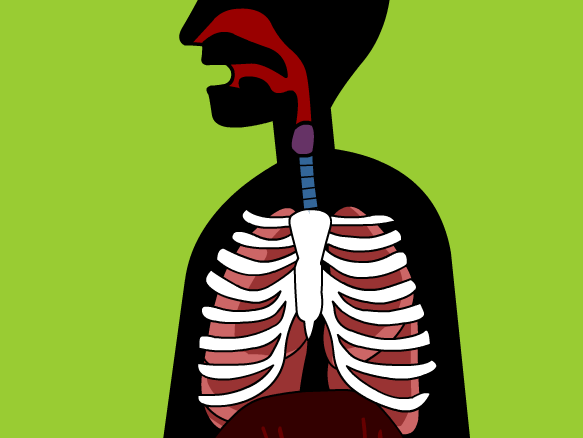 Respiratory System Pictures For Kids - ClipArt Best