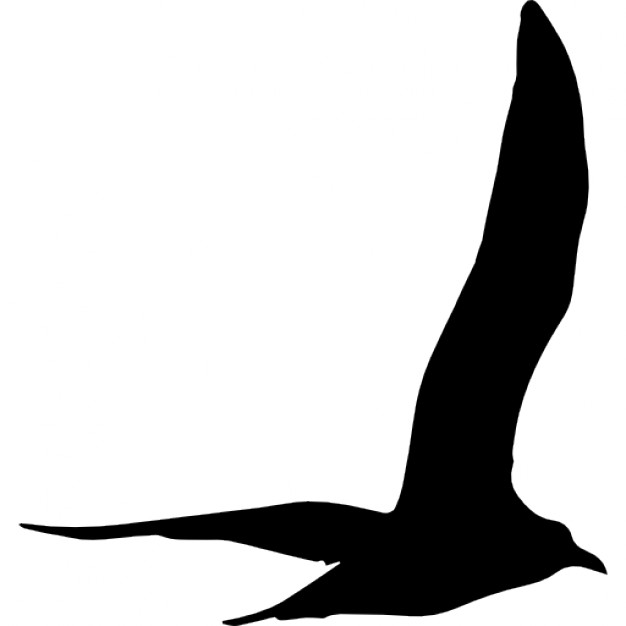 Seagull Silhouette Vectors, Photos and PSD files | Free Download