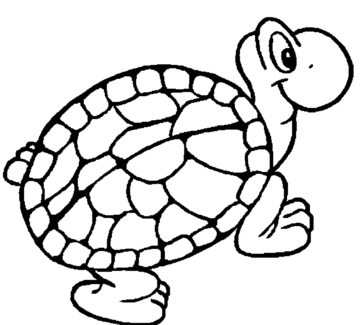 Tortoise For Coloring ClipArt Best