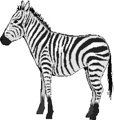 Clip Art - Clip art zebras 798962
