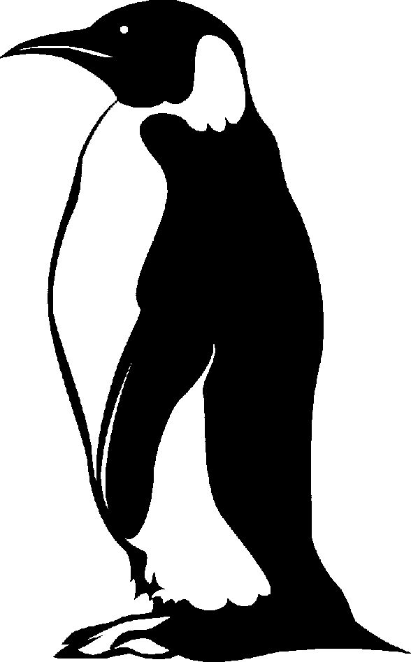 Art penguin clipart