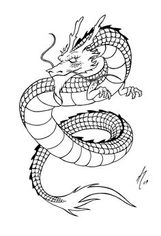 Drawings, Dragon and Dragon drawings