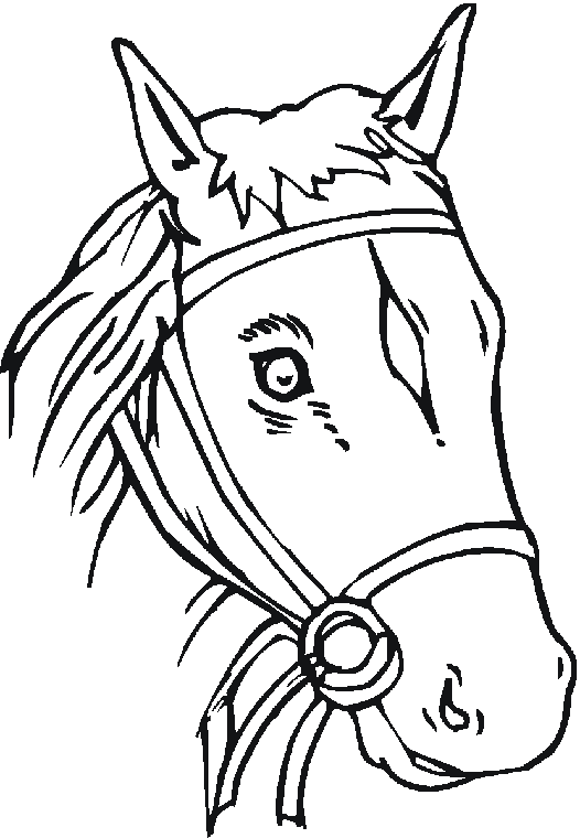 Free Coloring Pages - Horses