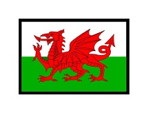 Welsh flag dragon clipart