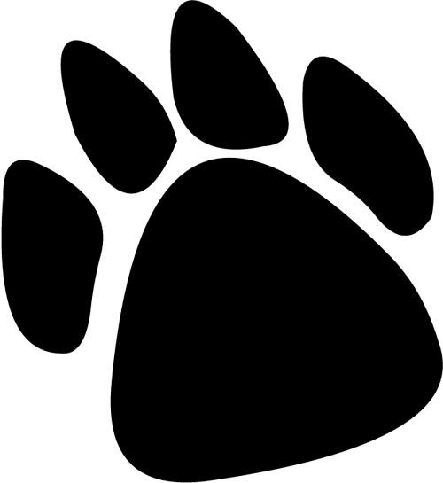 Black Paw Panther White Background Iryna Pictures