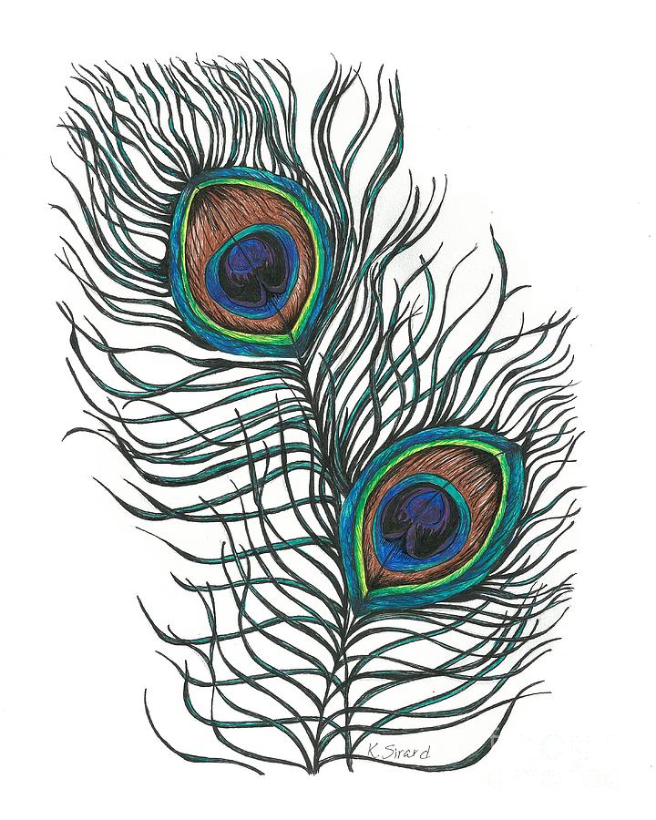 Peacock Feathers Drawing by Karen Sirard - Peacock Feathers Fine ...