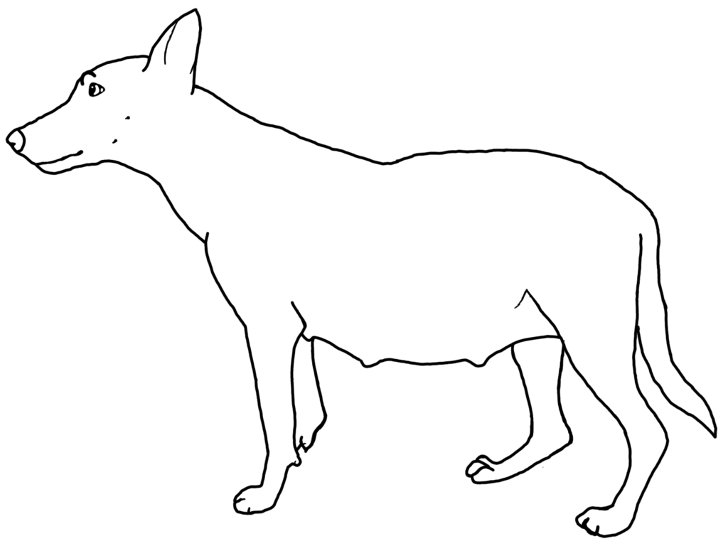 dog clipart drawing - photo #43