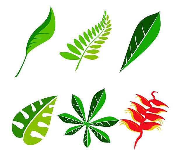 simple outline picture of palm leaf | Jungle Leaf Cartoon | DIY ...