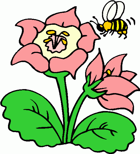 Bee And Flower Clipart - Free Clipart Images