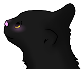 Black Cat Face Cartoon Cats 1, Echo's Black Cat Face Cartoon Clipart