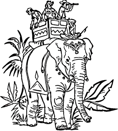 elephant india coloring sheet  clipart best