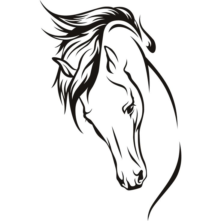 Horse Head Drawing | Horse Drawing ...