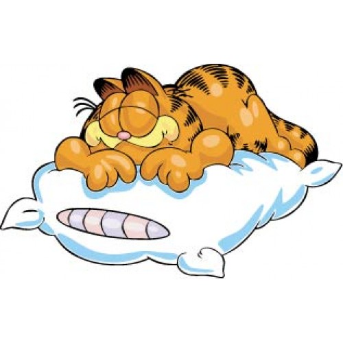 Cartoon Sleeping Garfield cat bedroom wall art sticker LSGAR2