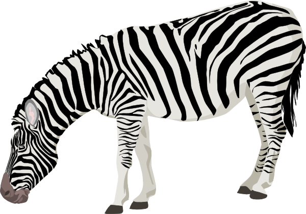 Zebra Clipart Black And White - Free Clipart Images