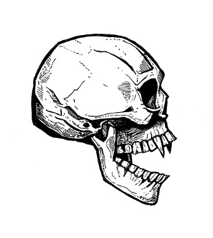 Skull Drawings
