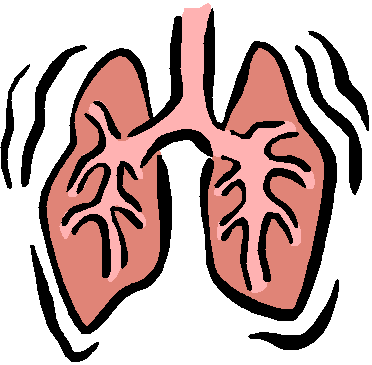 Lung Pictures For Kids - ClipArt Best