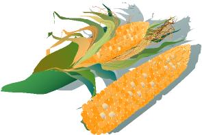 871 views American Food Clip Art on CD-