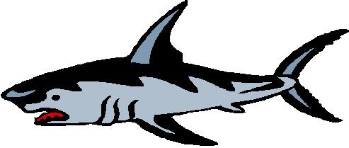 Shark clip art images free clipart images 4 - Cliparting.com