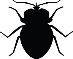 Bug Clip Art Black And White Free - Free Clipart ...