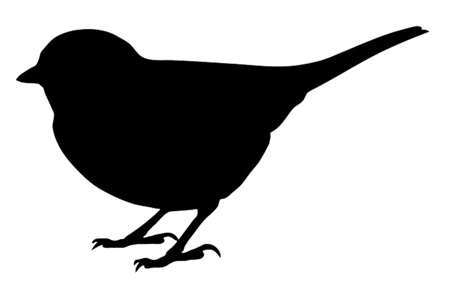 578 views Clipart bird silhouette