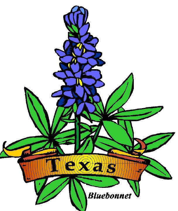 Texas Clip Art to Download - dbclipart.com
