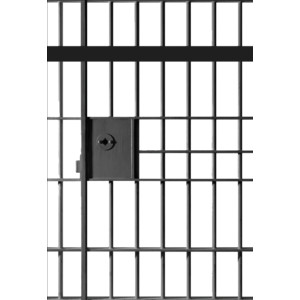 Fences and Prison Bars - Polyvore